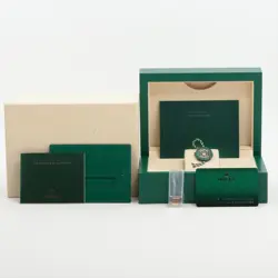 Rolex Sky-Dweller 326933 SS×YG AT Champagne-Face oyster bracelet 1 Extra Link