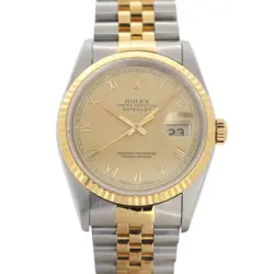 16233 STAINLESS STEEL/YG