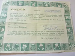 SERIES 1981
