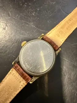 WATCH 15 RUBIES