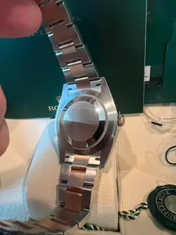 SUNDUST DIAL OYSTER