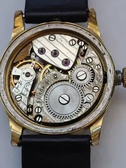 WATCH RARE COLLECTOR