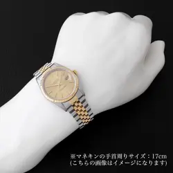 16233 CHAMPAGNE GOLD