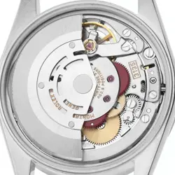 TURNED BEZEL STEEL