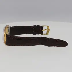 GP WATCH