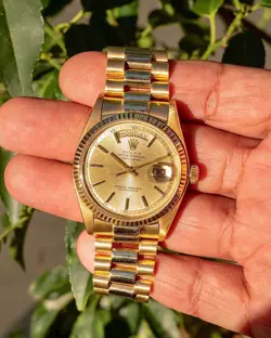 1803 TROPICAL