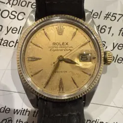 CHAMPAGNE DIAL AUTOMATIC