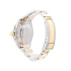 GOLD BEZEL OYSTER