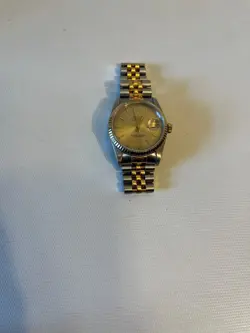 16233 OYSTER