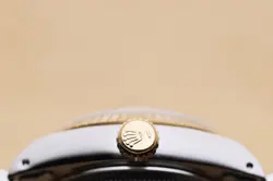 69173 WHITE ROMAN