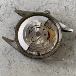 TURN-O-GRAPH BEZEL