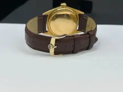 18K CASE MODEL
