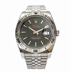 116264 AUTOMATIC WATCH