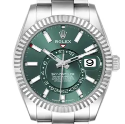 SKY-DWELLER STEEL WHITE