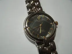 FACE WATCH WORKING