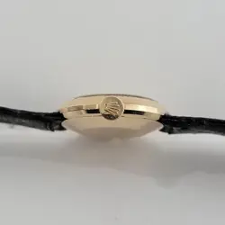 SOLID GOLD 22MM