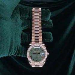 GREEN DIAL ROSE