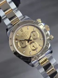 116523 OYSTER