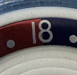 BEZEL DISC