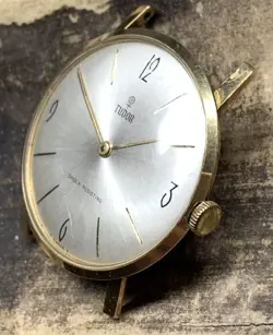 CASE WRISTWATCH