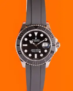 OYSTERFLEX 2019