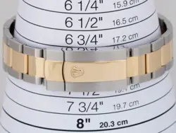 SKY-DWELLER TWO-TONE 18K