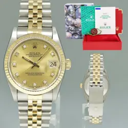 STEEL 31MM CHAMPAGNE