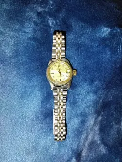 ROLEX STAINLESS STEEL WOMAN'S OYSTER PERPETUAL WATCH (CAN NOT VERIFY)