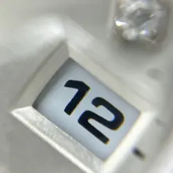79174G SILVER LADIES