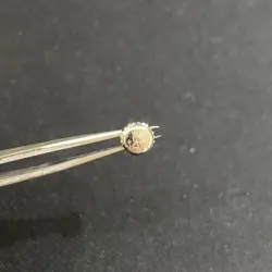 GENUINE CROWN