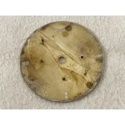 Genuine Rolex Dayle Primero Gold Dial Tritium Reverse 6  shipping from Japan