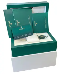 36 CHAMPAGNE PALM