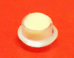 6202