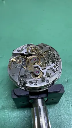 DAYTONA 6239 6241