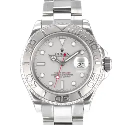 BEZEL SILVER STEEL