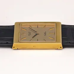 CASE LEATHER