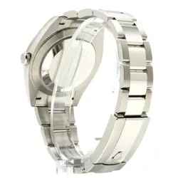 Rolex / Datejust 41 126334 Oyster Breath Bright Fruit Besel 2024 May Automat r45