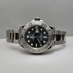 116622 STAINLESS/PLATINUM