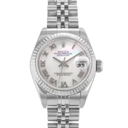 PEARL STEEL WHITE