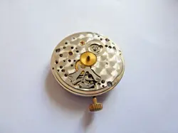CROWN STEM