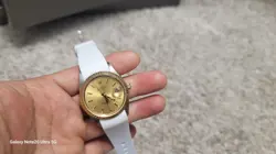 CHAMPAGNE 15223 WITH