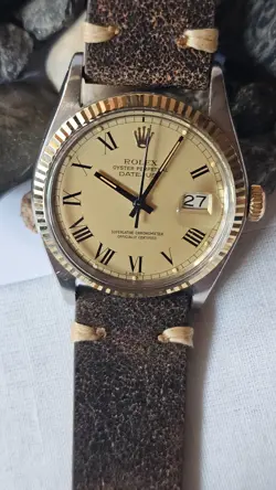 BUCKLEY DIAL MEN'S