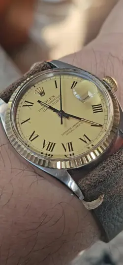 BUCKLEY DIAL MEN'S