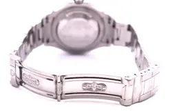 SILVER DIAL PLATINUM