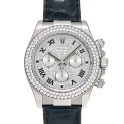 116589RBR 2004-2005'S DIAMOND