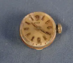 WOMENS COCKTAIL