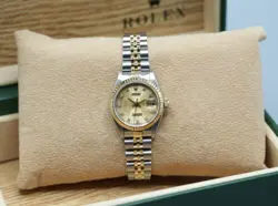 69173 FACTORY CHAMPAGNE