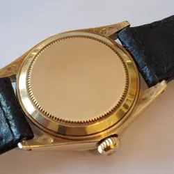 6629