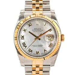 116233NR WHITE SHELL