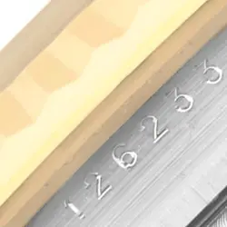 Rolex Datejust Steel Yellow Gold Golden Palm Dial Mens Watch 126233 Box Card